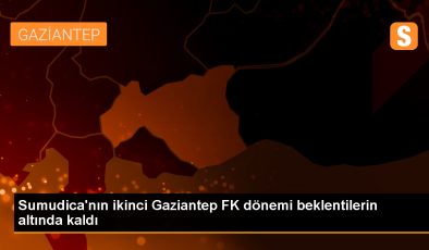 Gaziantep FK Teknik Direktörü Sumudica, Düşme Hattından Kurtaramadı