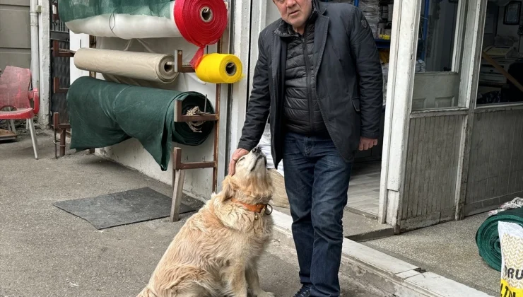 Köpekten Kaçarken Düşüp Diz Kapağı Kıran Kadına 315 Bin 441 TL Tazminat Ödenecek