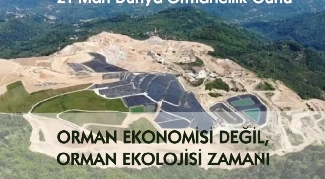 TMMOB Ziraat Mühendisleri Odası Başkanı: Doğamızı koruma mücadelemize devam edeceğiz