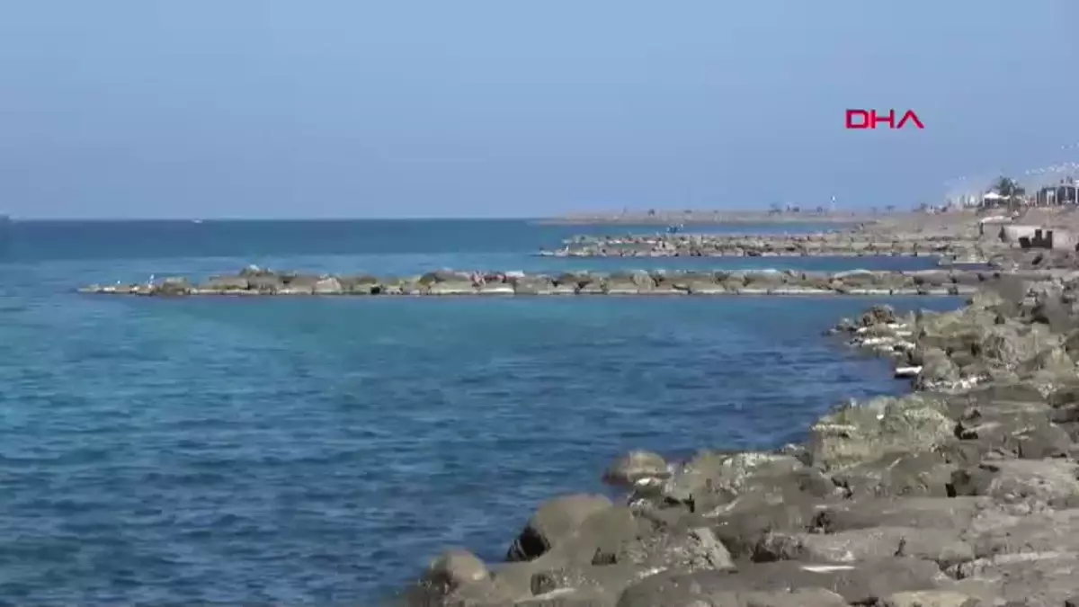 Karadeniz’de Sıcaklık Artışı Tehdit Ediyor