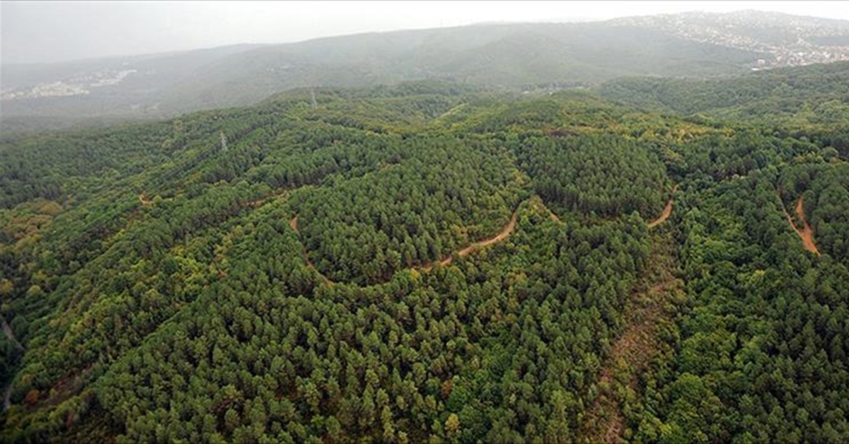 Çanakkale’de ormanlara giriş yasağı uzatıldı