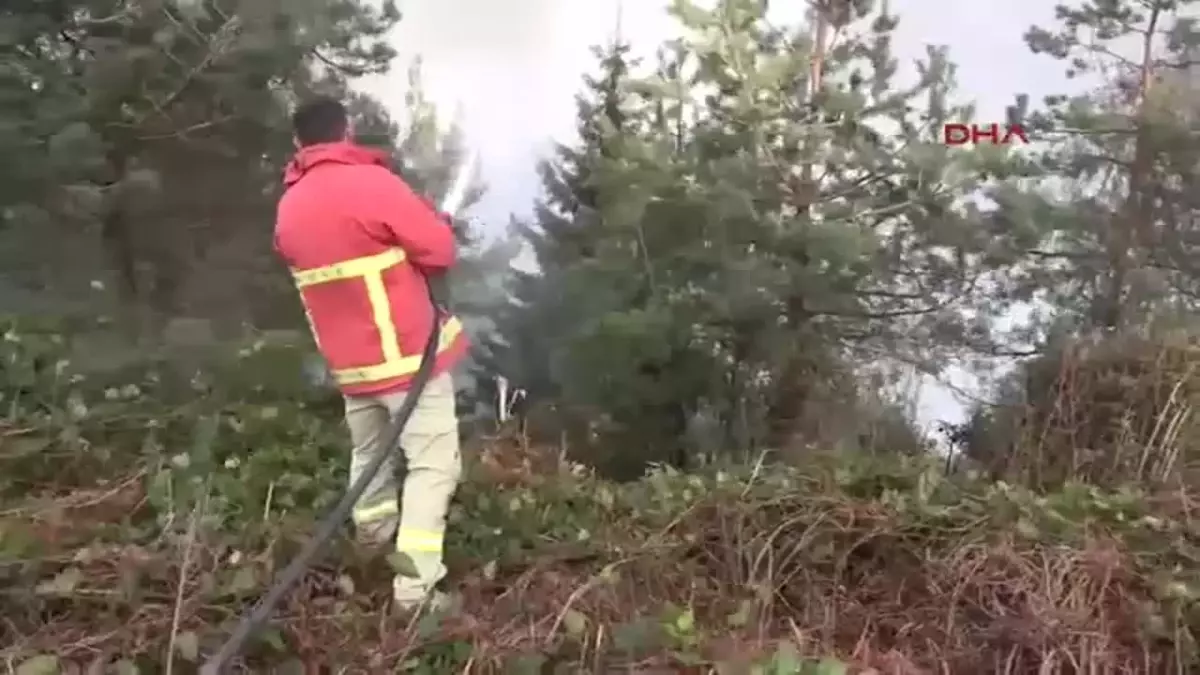 Doğu Karadeniz’de Yangın Riski Artıyor