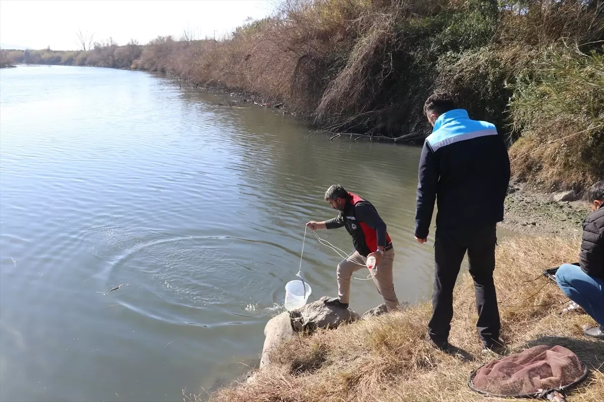 Ceyhan Nehri’nde Balık Ölümleri İnceleniyor